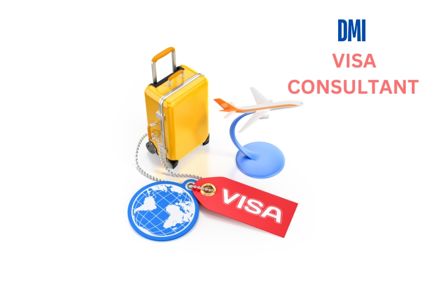 Visa consultant